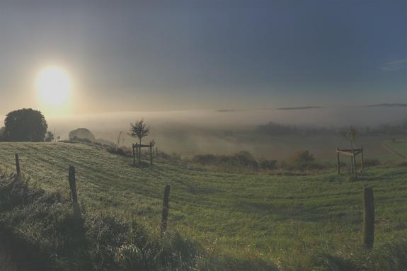 Die Vulkaneifel - Urlaub mit dem Pferd im Vulkanhotel Steffelberg in der Eifel