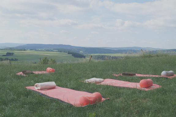 Aktionswochen - Aktiv im Vulkahotel Balance und Selfness Steffelberg in der Eifel