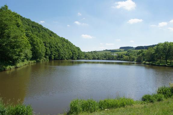 Die Vulkaneifel - Maar - Hotel-Angebote - Vulkanhotel Balance und Selfness, Steffeln - Hotel Steffelberg in der Eifel